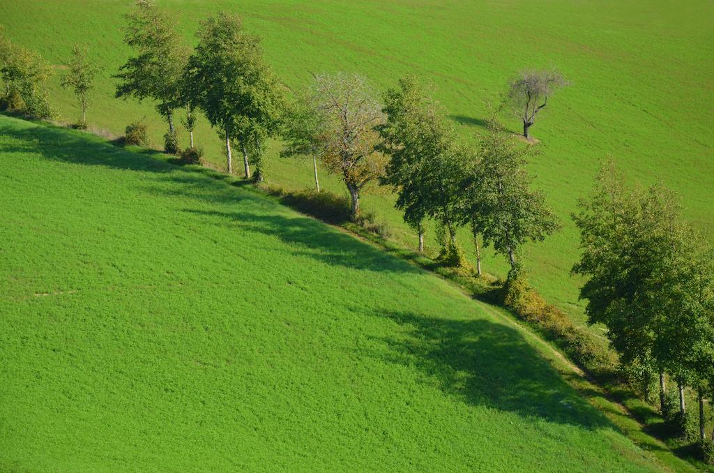 La Cerreta Hotel Rocca San Casciano ภายนอก รูปภาพ